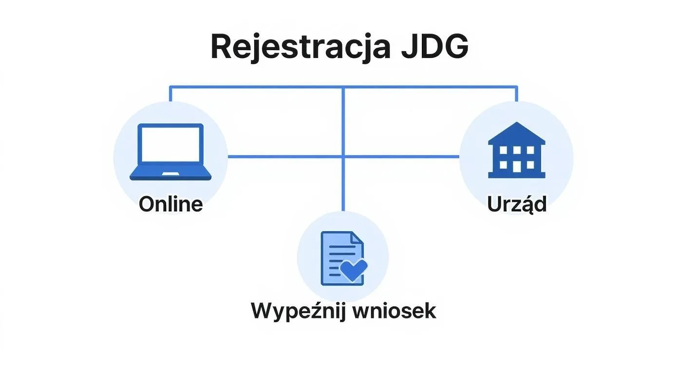 Infographic about jak założyć firmę jednoosobową